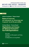 Balanced Scorecard als Instrument zur Steuerung von Corporate Social Responsibility / Möglichkeiten & Grenzen der Balanced Scorecard