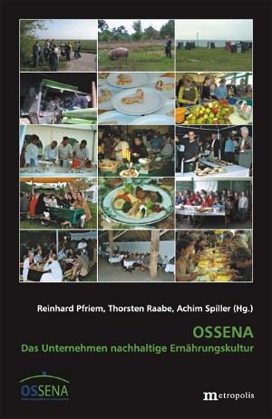 Die OSSENA-Strategie konkret: Interpretieren, Intervenieren, Institutionalisieren